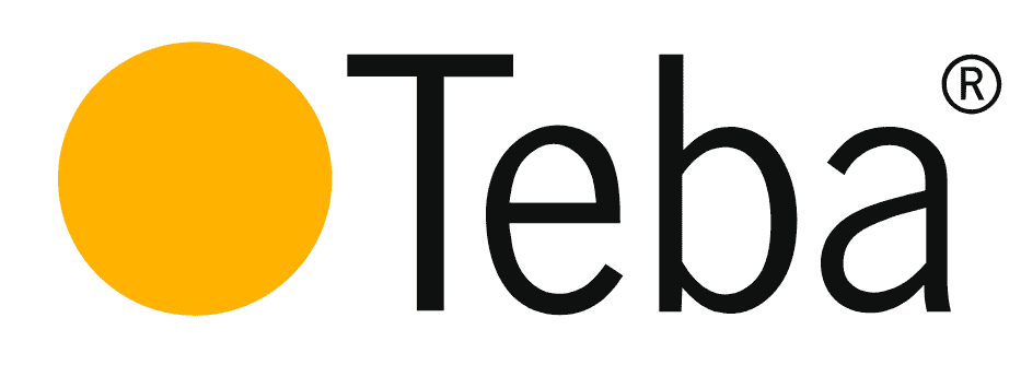 Logo TEBA